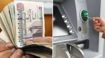 بشرى للمعلمين.. تحديد موعد صرف مرتبات الربع الأخير من 2025 بالزيادة الجديدة 1